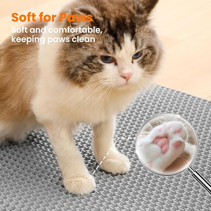 Double-Layer Cat Litter Mat